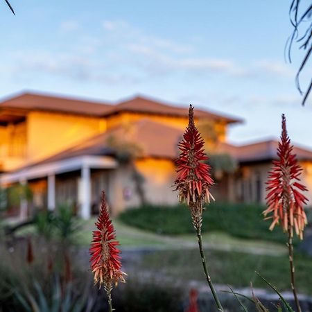 Blue Rain Guest House Блоемфонтейн Екстериор снимка